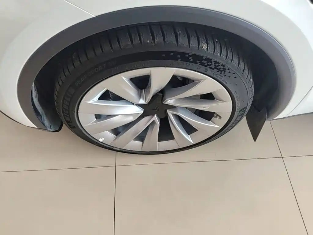 Tesla Model Y — миниатюра 23