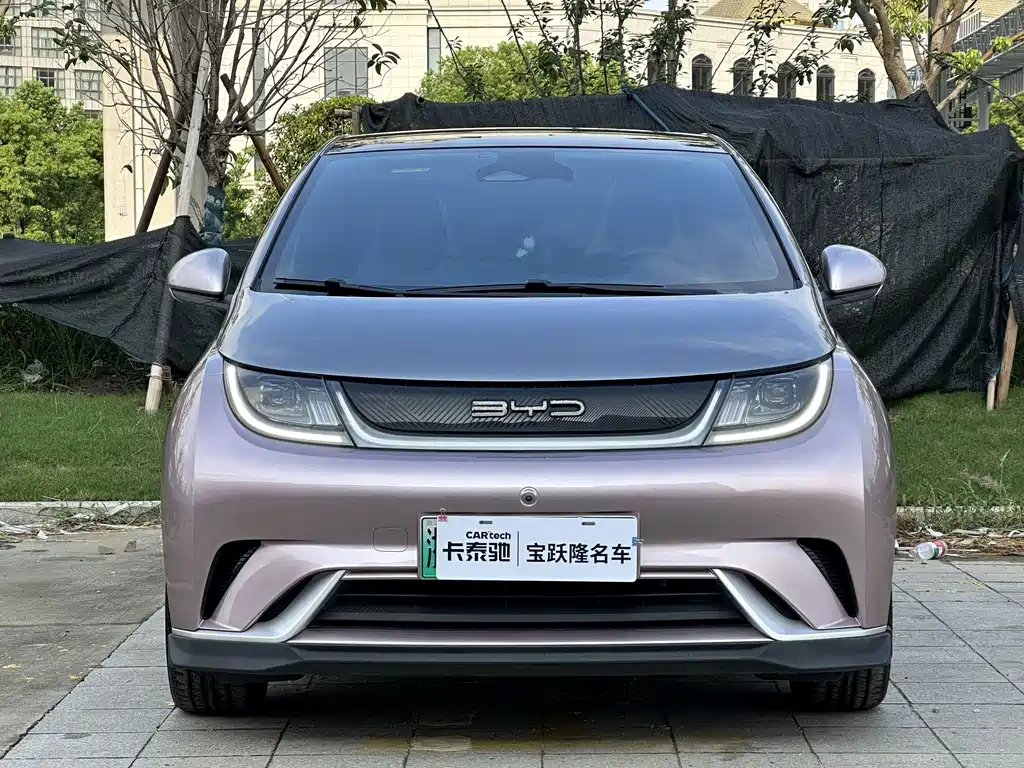 BYD Dolphin — миниатюра 2