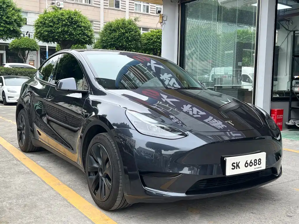 Tesla Model Y — миниатюра 3
