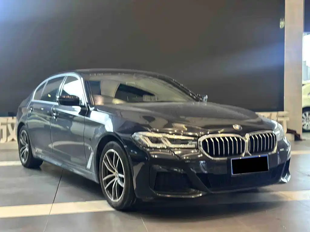 BMW 5 Series — миниатюра 3