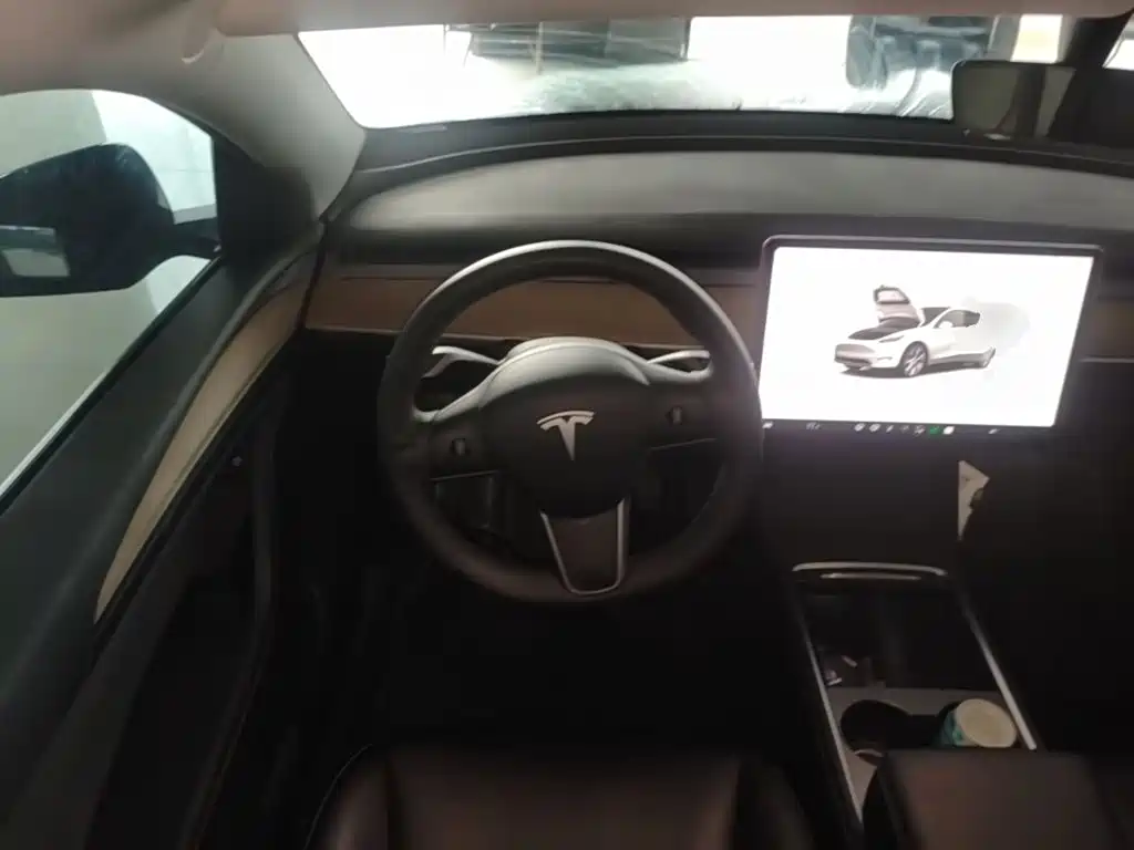Tesla Model Y — миниатюра 11