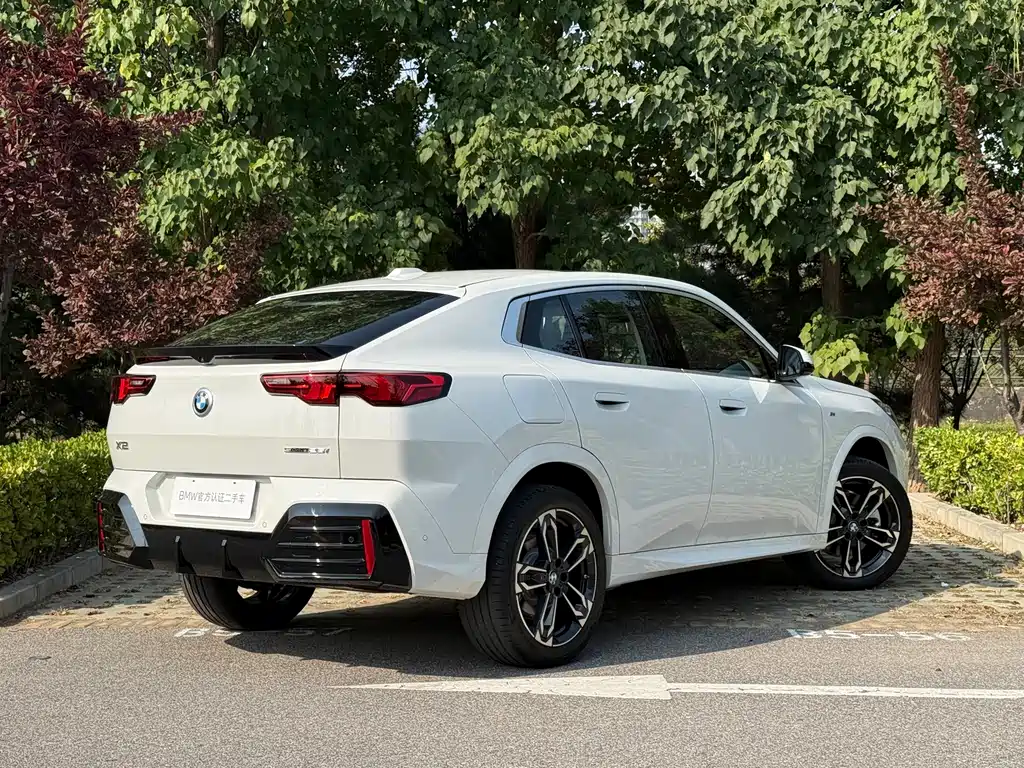 BMW X2 (Import) — миниатюра 4