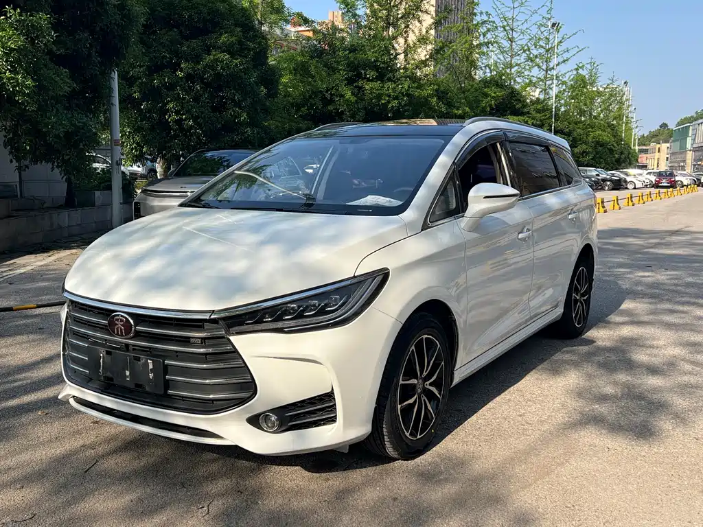 Byd MAX 2018