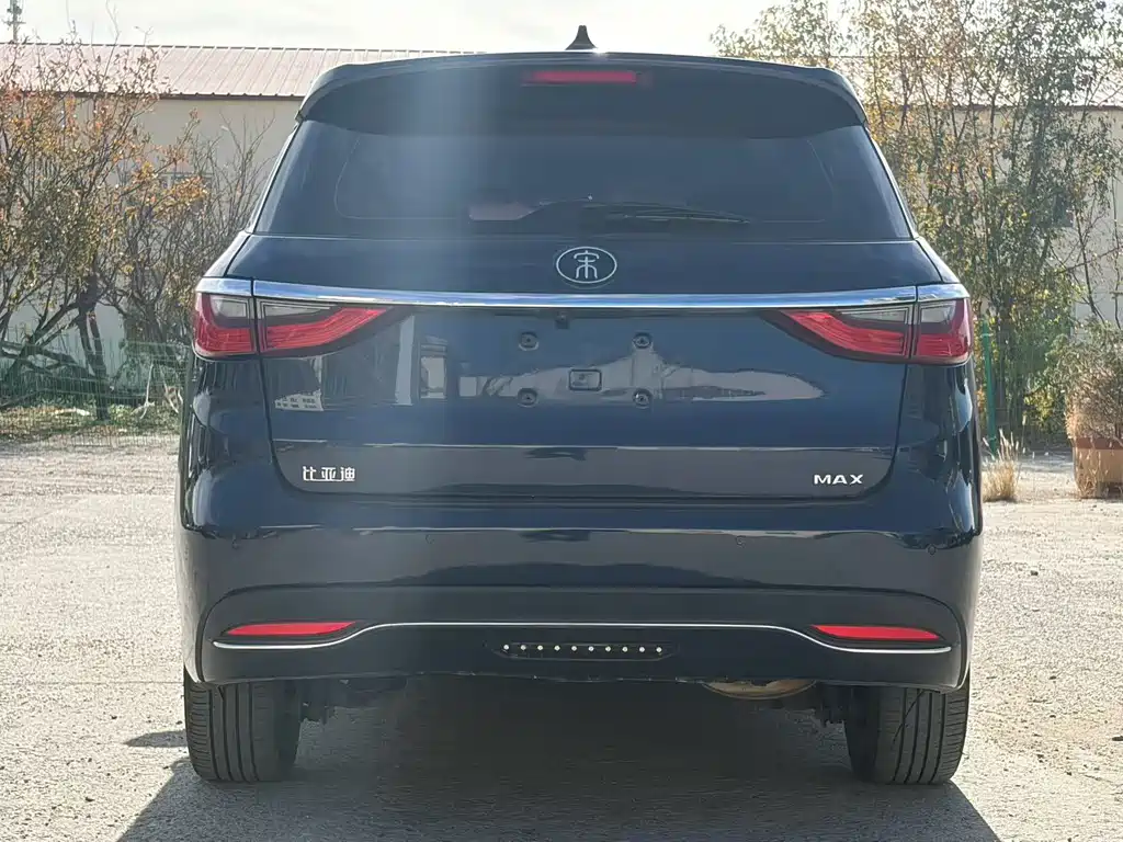 BYD MAX — миниатюра 4