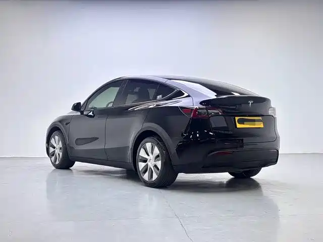 Tesla Model Y — миниатюра 7