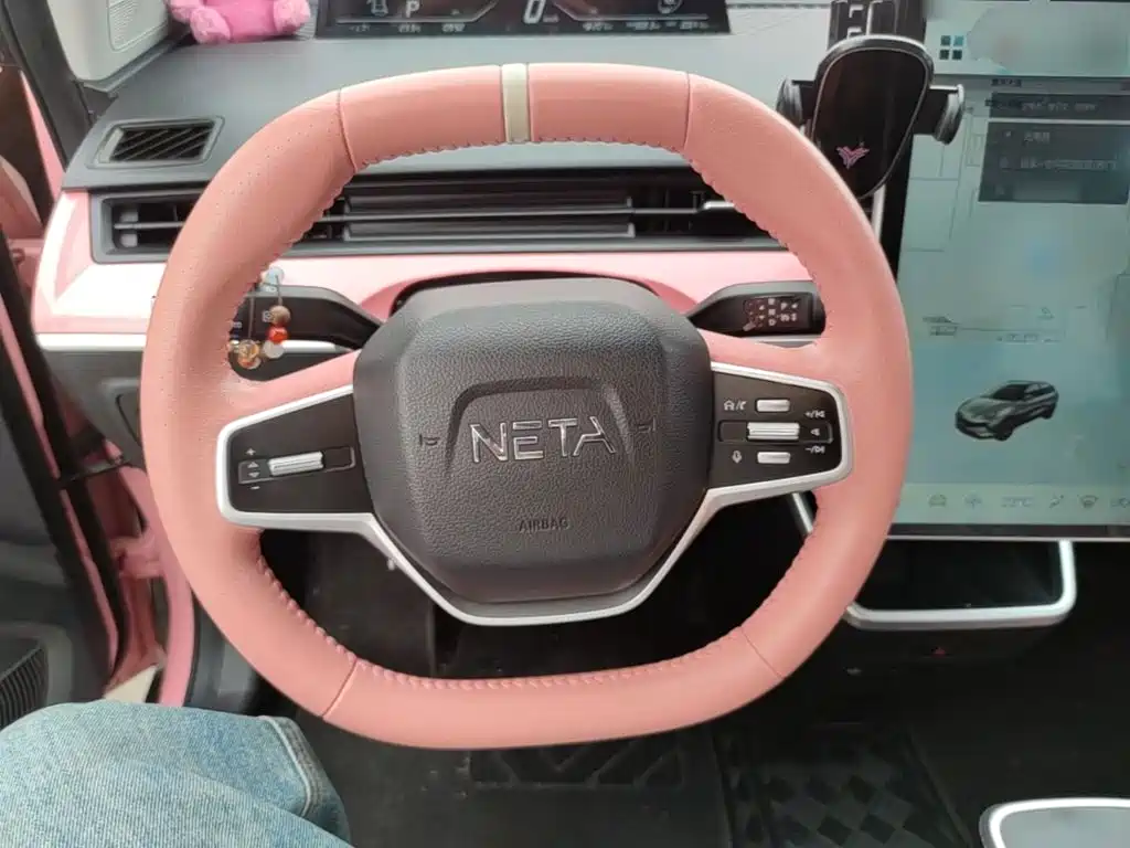 Neta Neta V — миниатюра 11