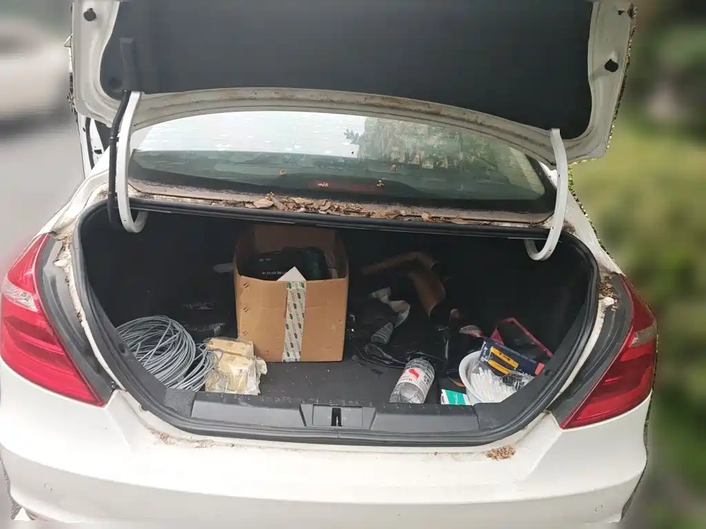 Geely Emgrand — миниатюра 10