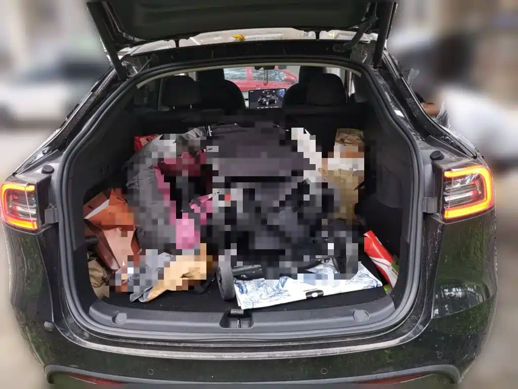 Tesla Model Y — миниатюра 15