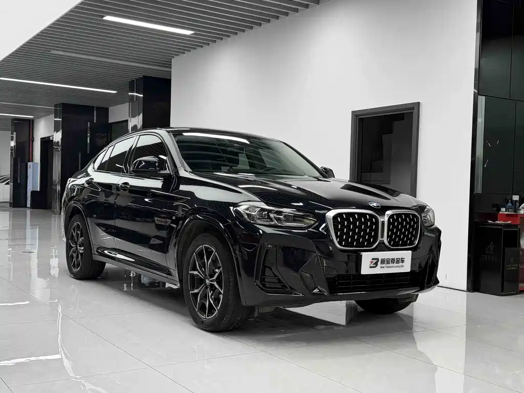 BMW X4 — миниатюра 3
