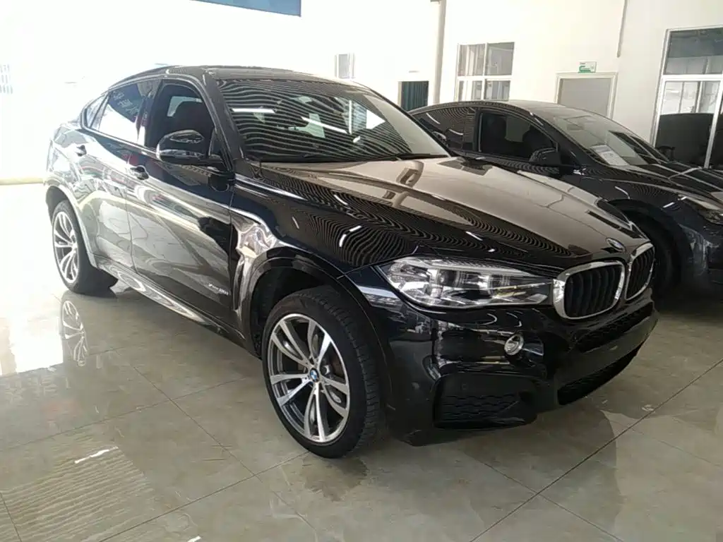 BMW X6 — миниатюра 4