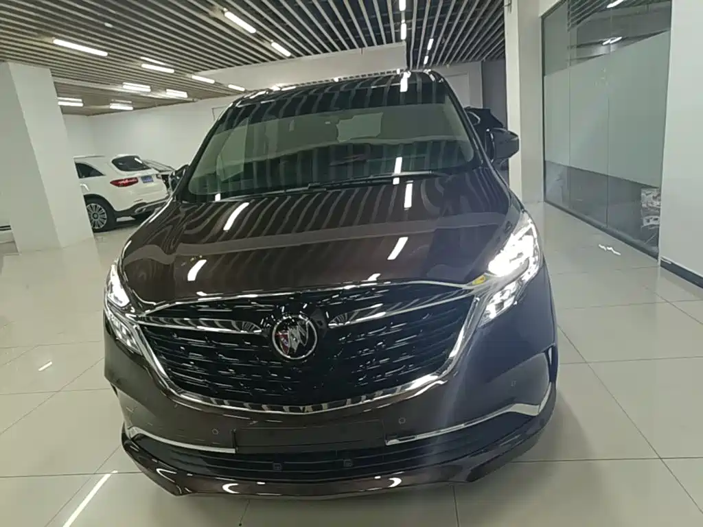 Buick GL8 — миниатюра 3