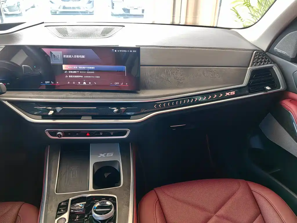 BMW X5 — миниатюра 10
