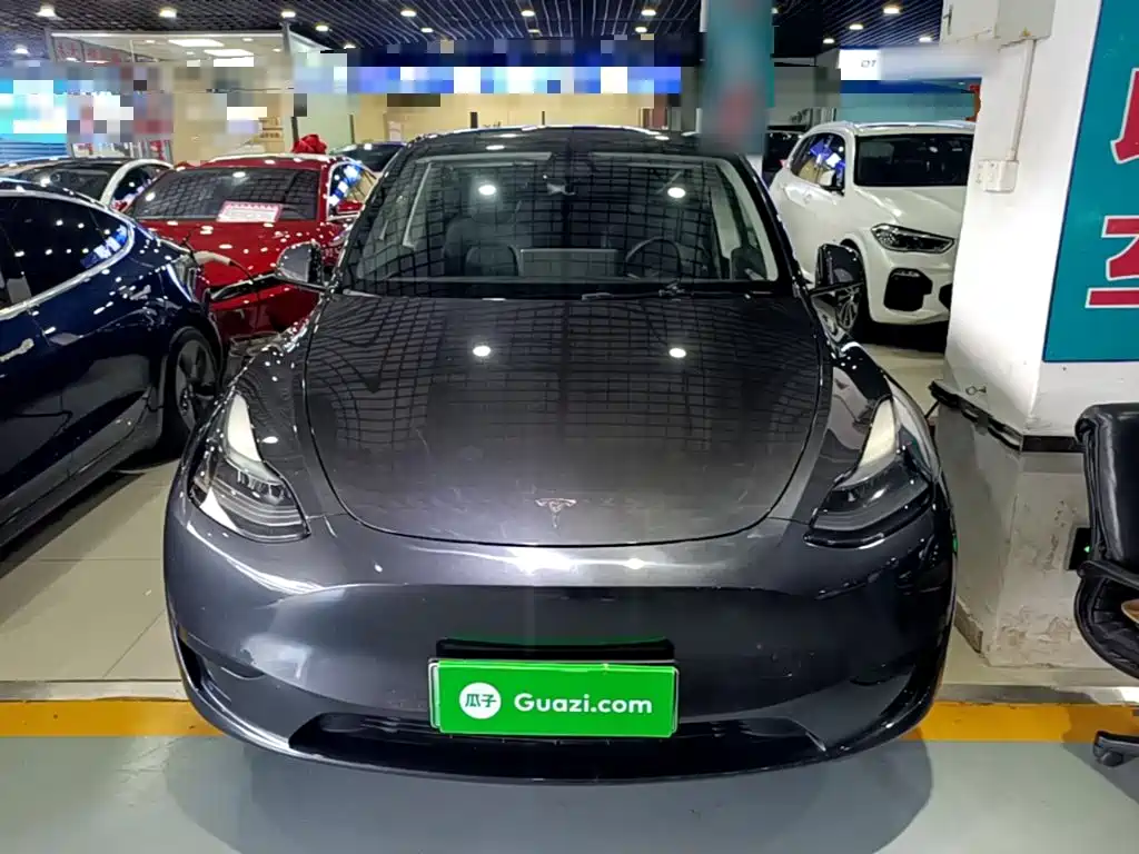 Tesla Model Y — миниатюра 3