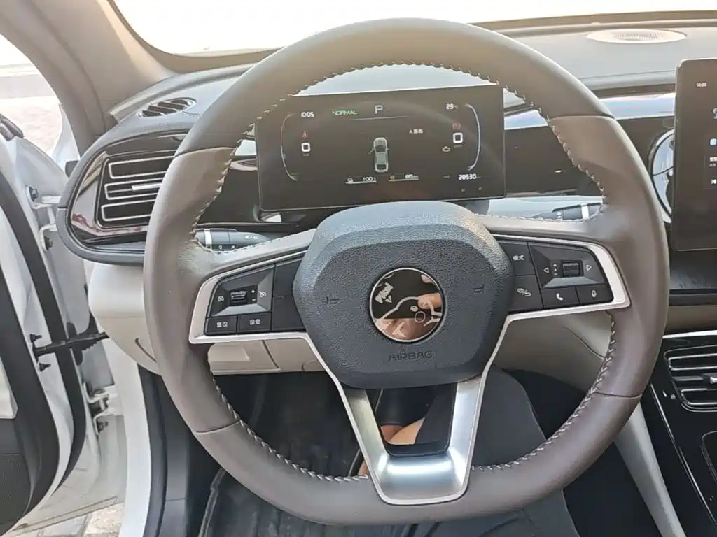 BYD Qin PLUS — миниатюра 11