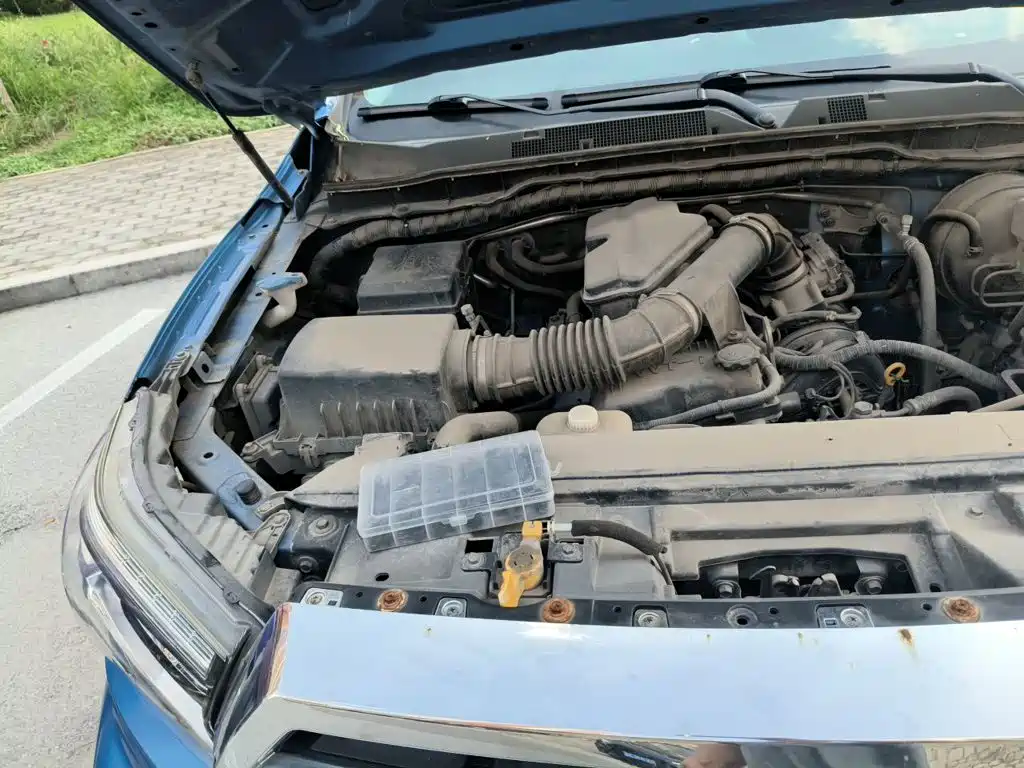 Dongfeng Rich 6 — миниатюра 21
