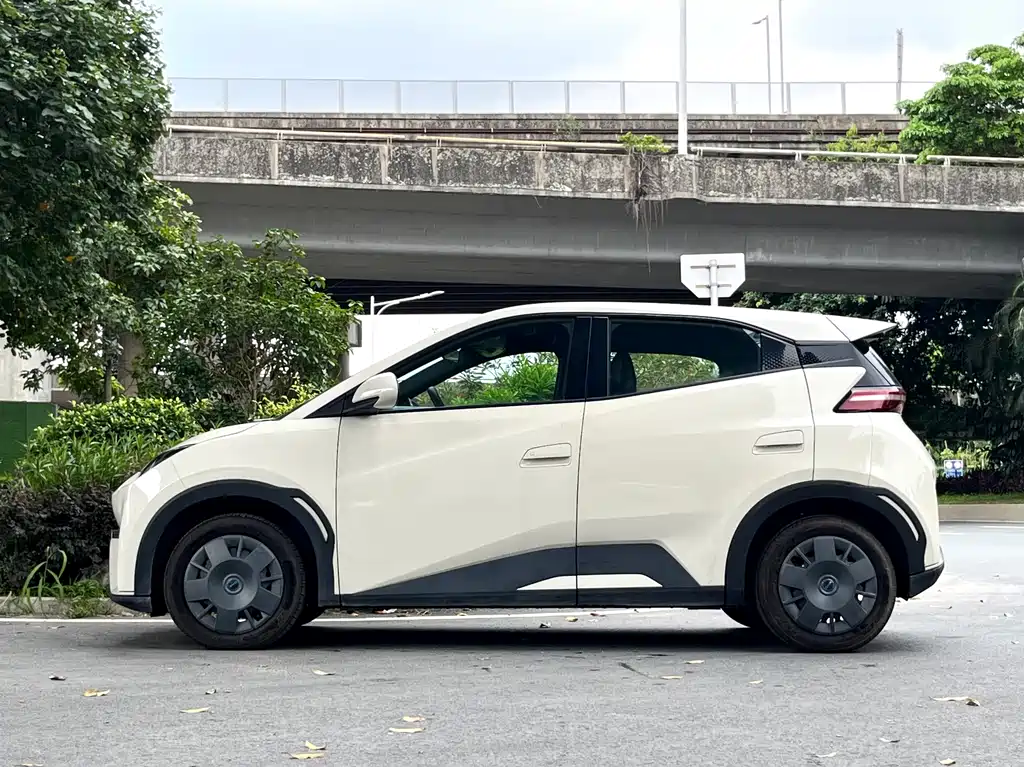 BYD Seagull 2024 305km