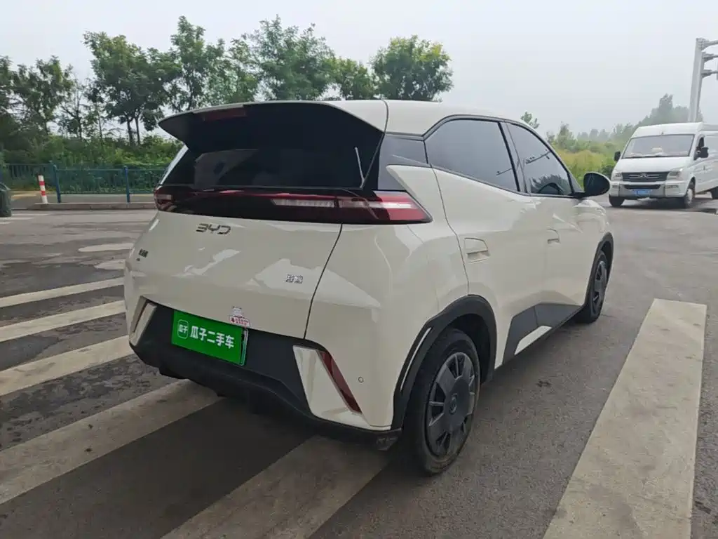 BYD Seagull 2025 305km