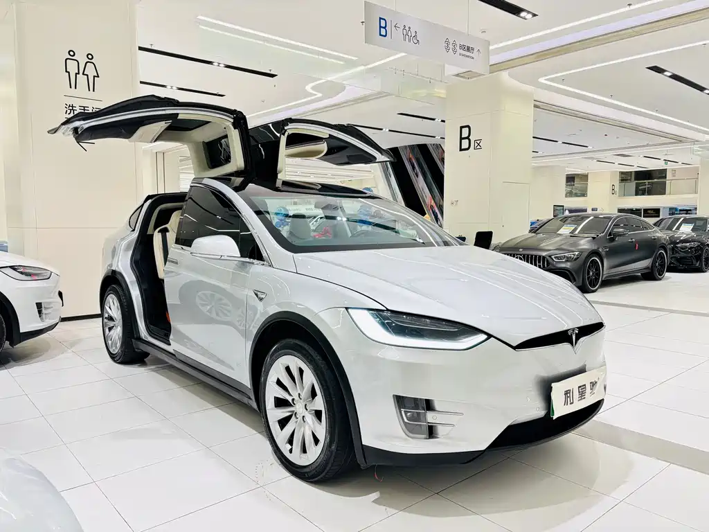 Tesla Model X — миниатюра 3