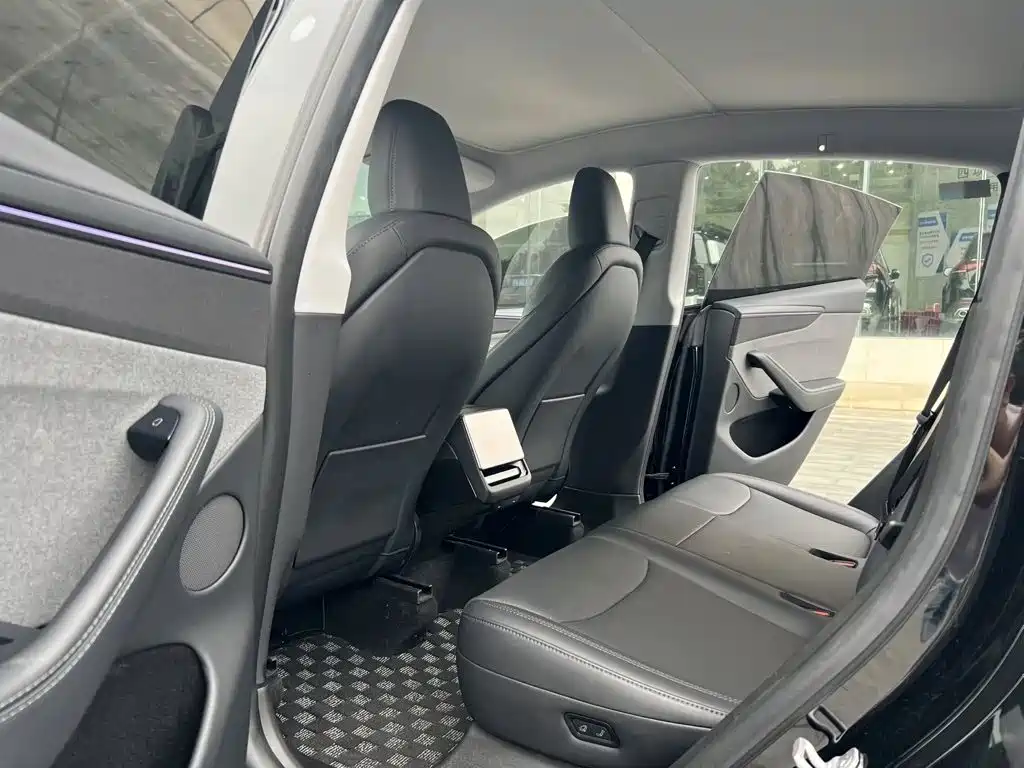 Tesla Model Y — миниатюра 5