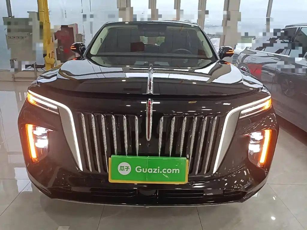 Hongqi Hongqi E-HS9 — миниатюра 3