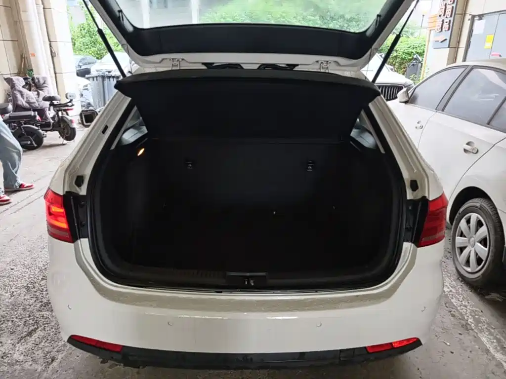 Volkswagen Gran Lavida — миниатюра 19