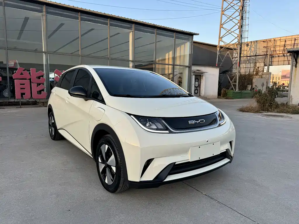 BYD Dolphin — миниатюра 3