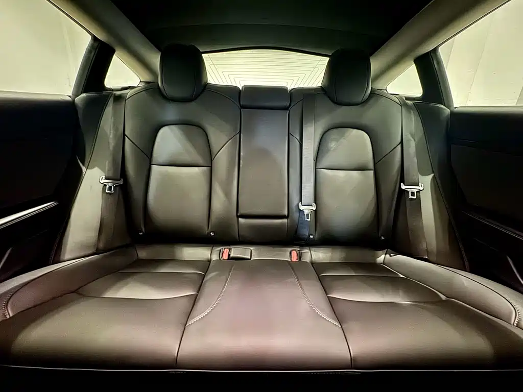 Tesla Model 3 — миниатюра 8
