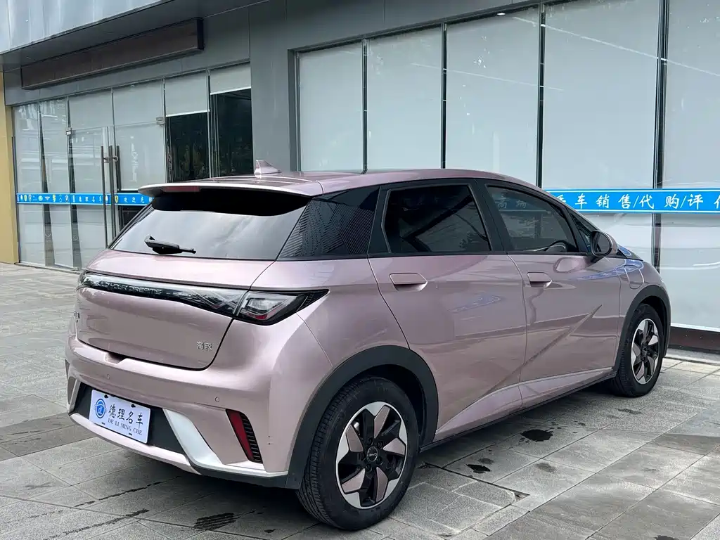 BYD Dolphin — миниатюра 13