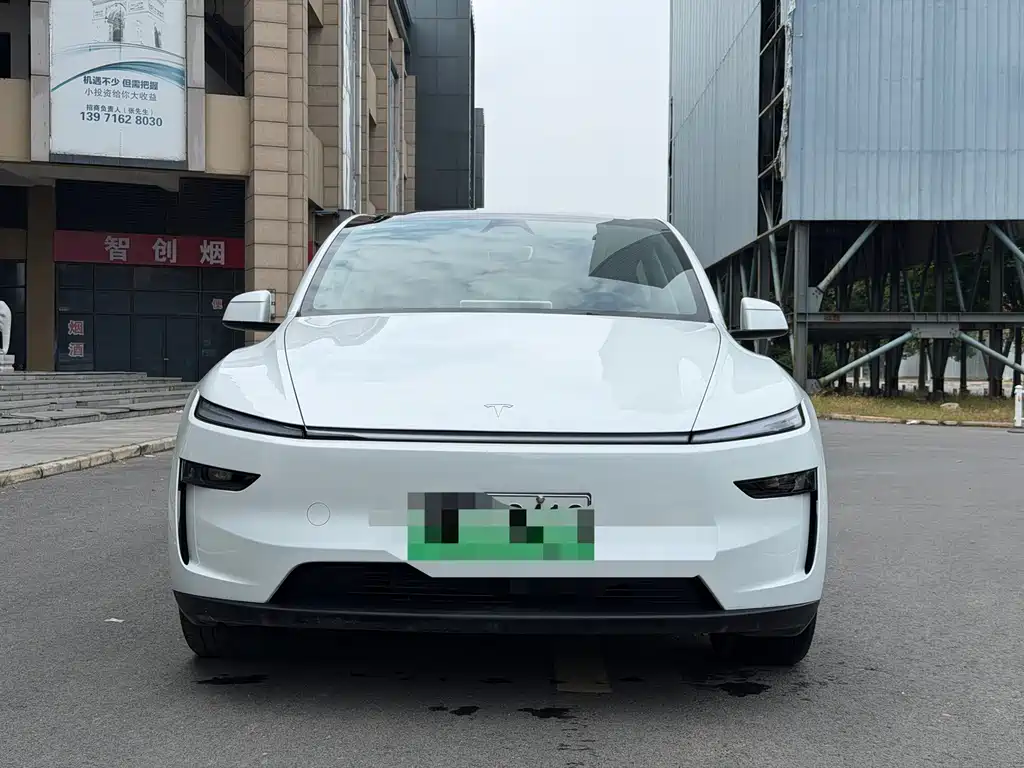 Tesla Model Y — миниатюра 2
