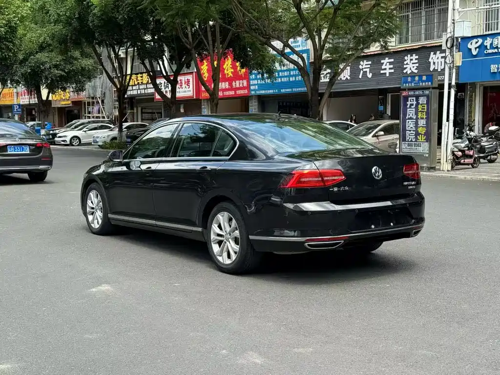 Volkswagen Magotan 2019 330TSI DSG Luxury VI