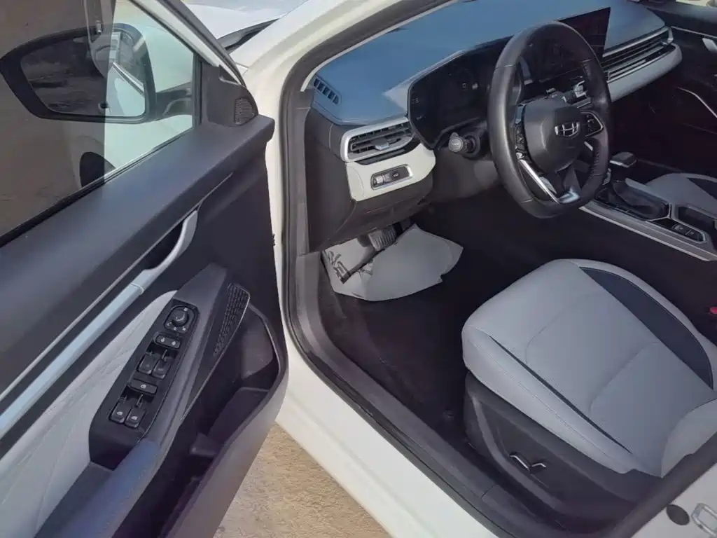 Geely Emgrand — миниатюра 16