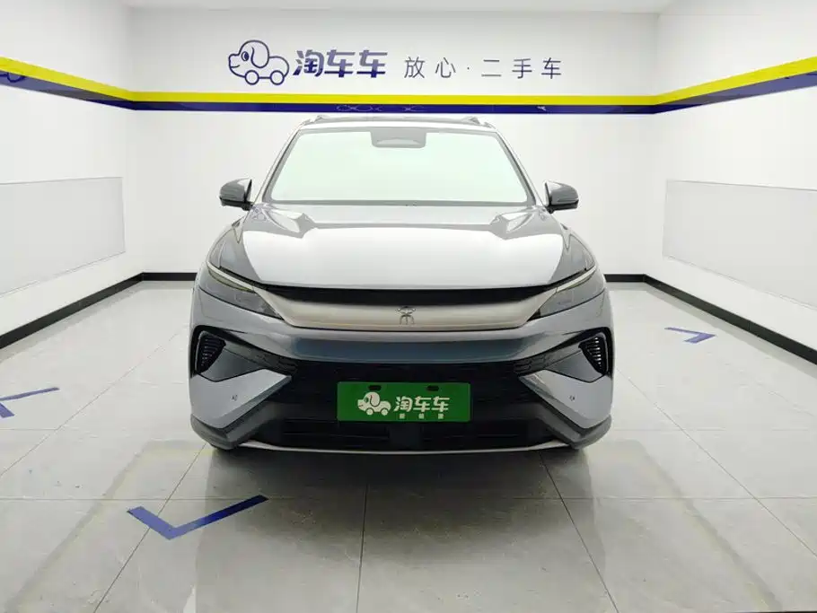 BYD Pro New Energy — миниатюра 2