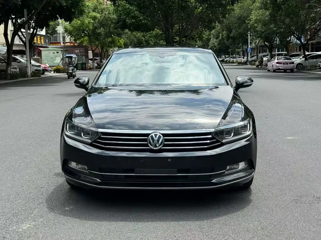 Volkswagen Magotan 2019 330TSI DSG Luxury VI