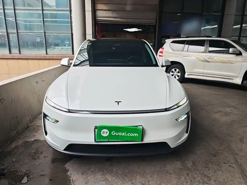 Tesla Model Y — миниатюра 3