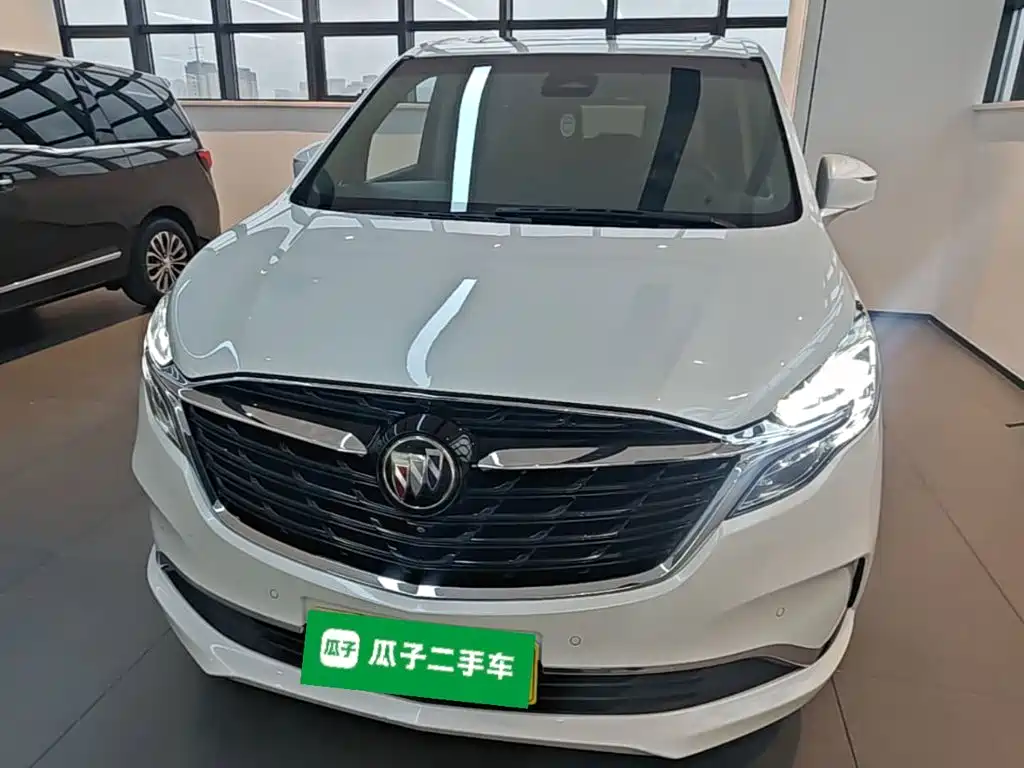 Buick GL8 — миниатюра 3
