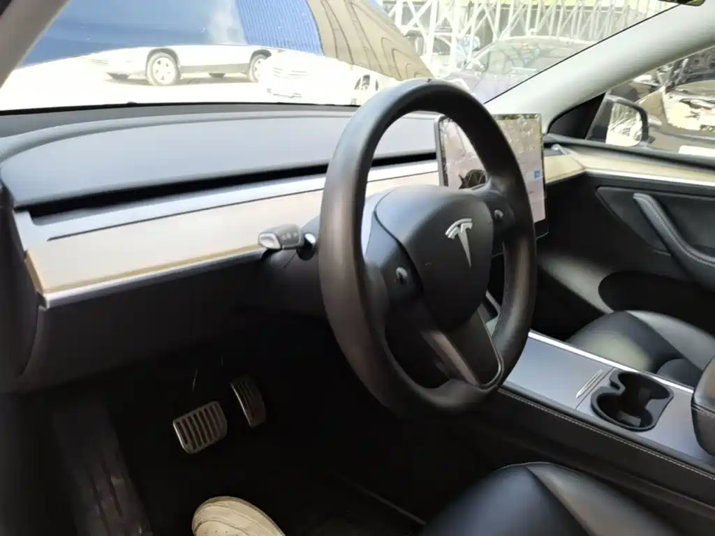 Tesla Model Y — миниатюра 10
