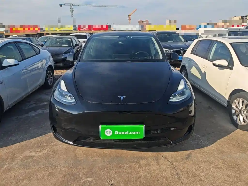 Tesla Model Y — миниатюра 3