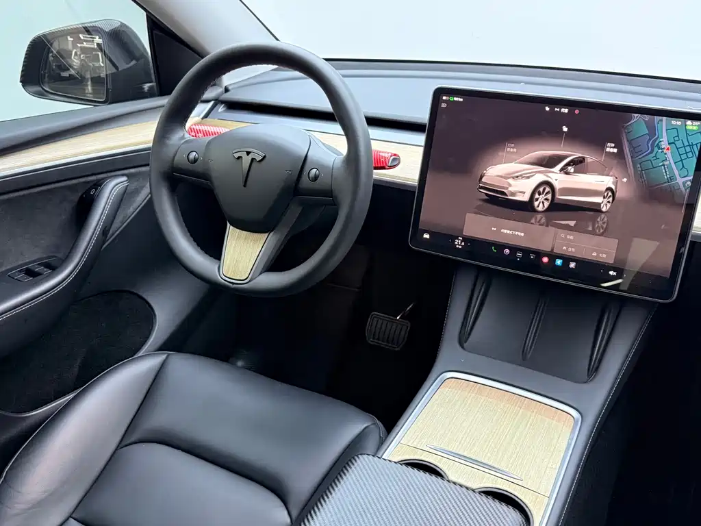 Tesla Model Y — миниатюра 12