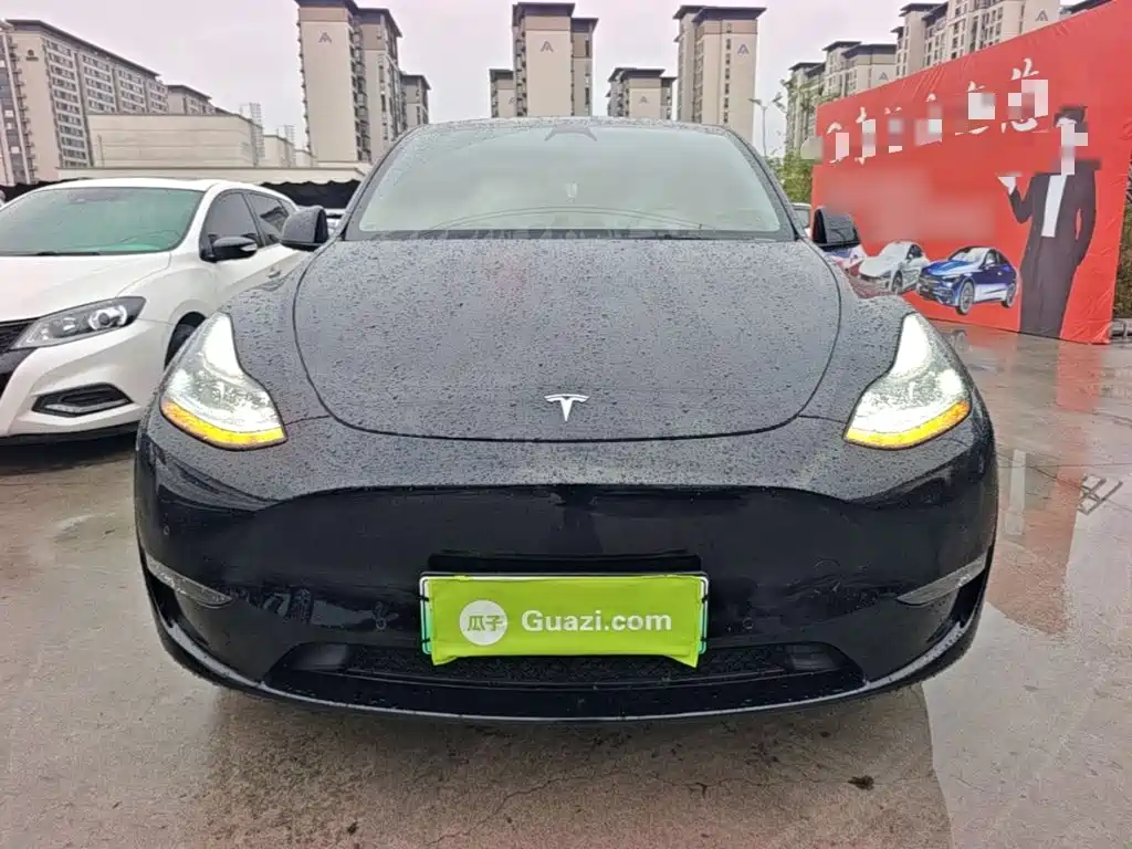 Tesla Model Y — миниатюра 3