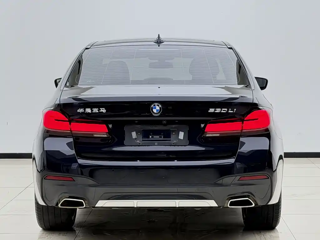 BMW 5 Series — миниатюра 8