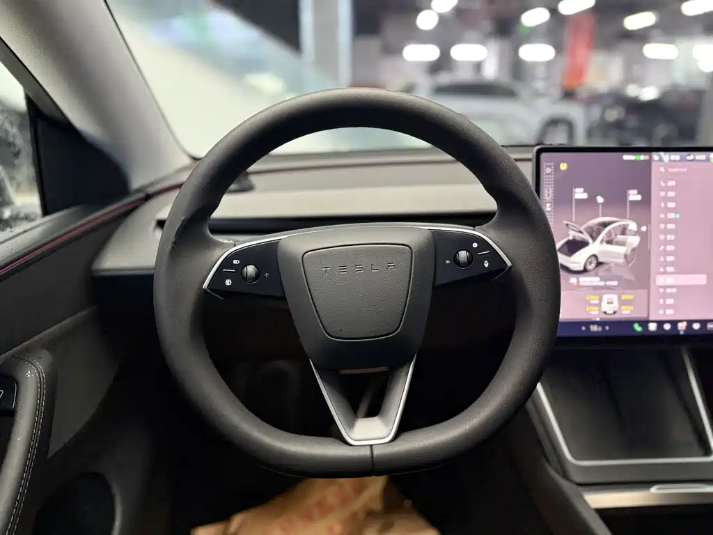 Tesla Model Y — миниатюра 11