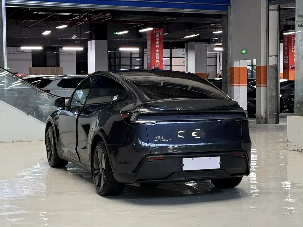 Tesla Model Y — миниатюра 7