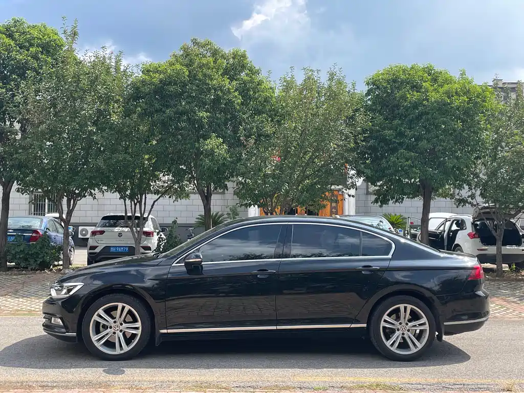 Volkswagen Magotan 2018 330TSI DSG Luxury