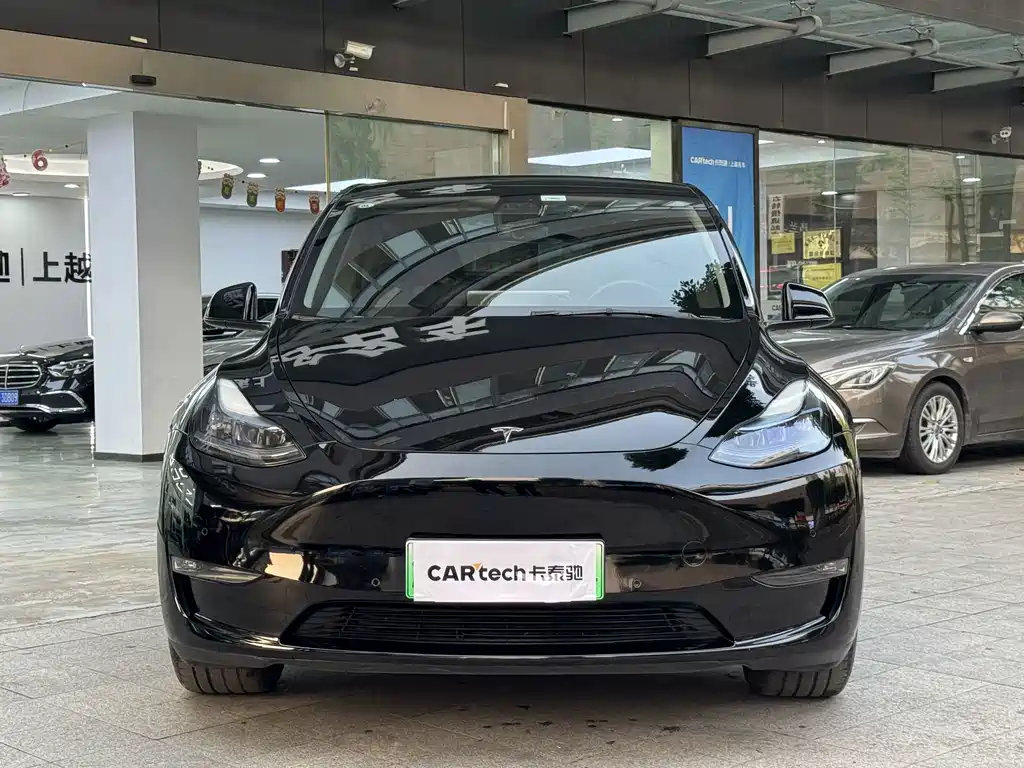 Tesla Model Y — миниатюра 6