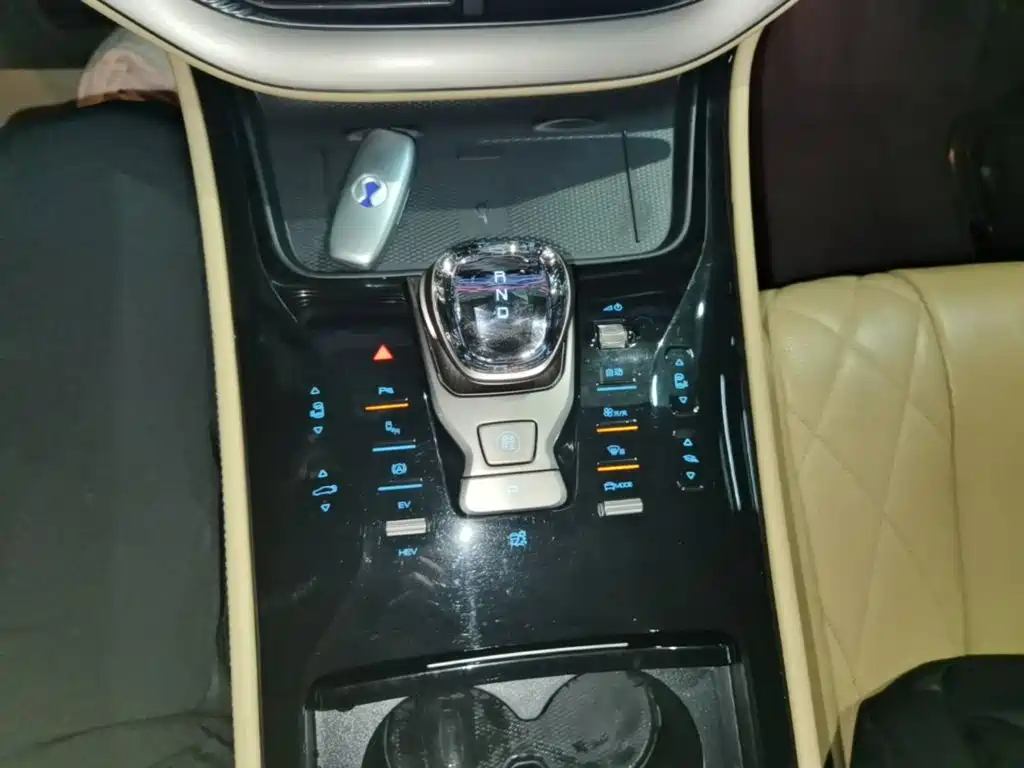 Denza Denza D9 — миниатюра 14