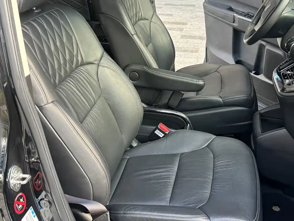 Honda Elysion — миниатюра 12