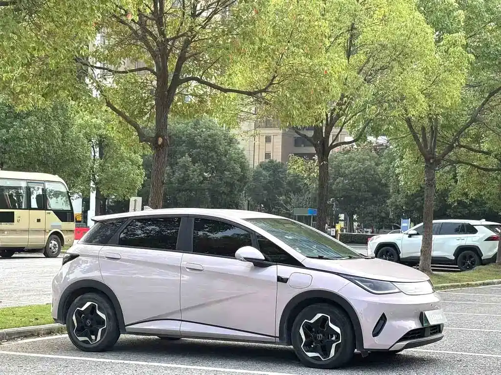 BYD Dolphin — миниатюра 3