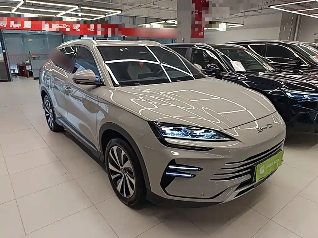 BYD PLUS New Energy — миниатюра 4
