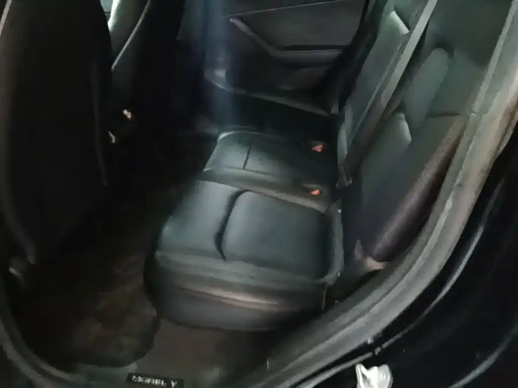 Tesla Model Y — миниатюра 17