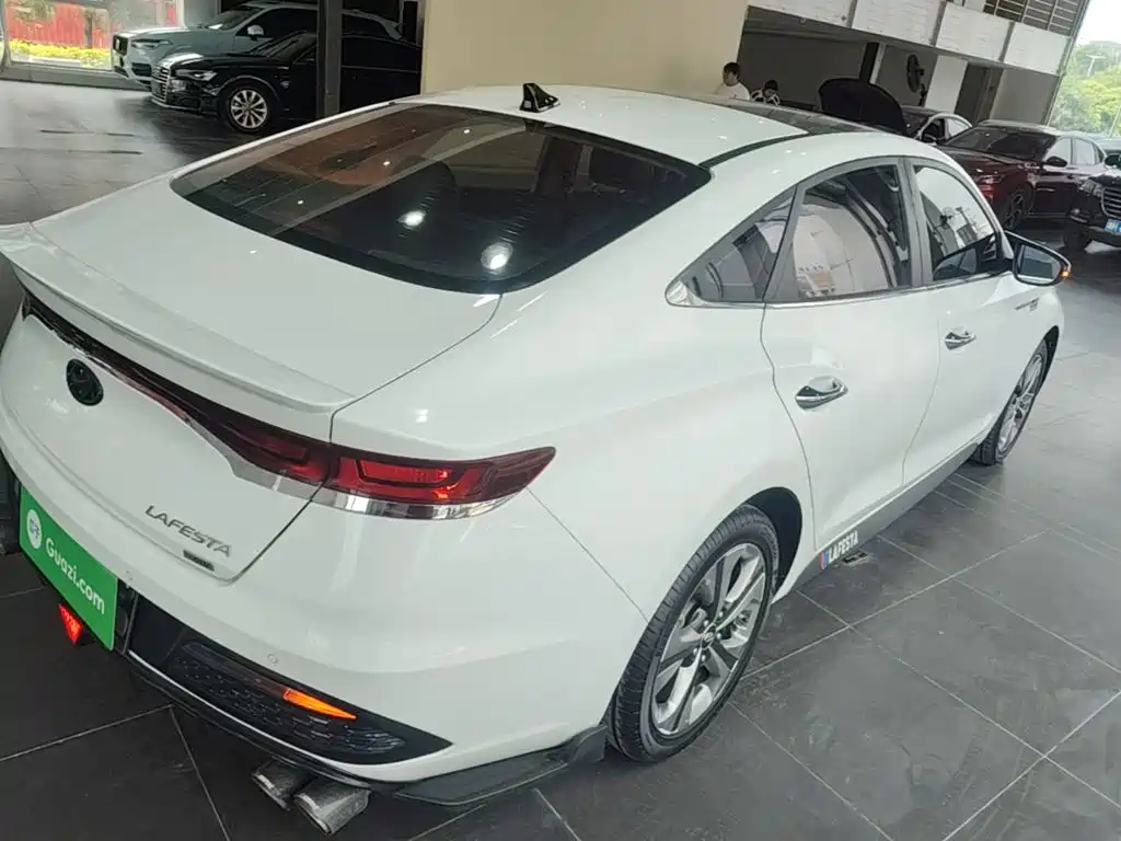 Hyundai Fista — миниатюра 7